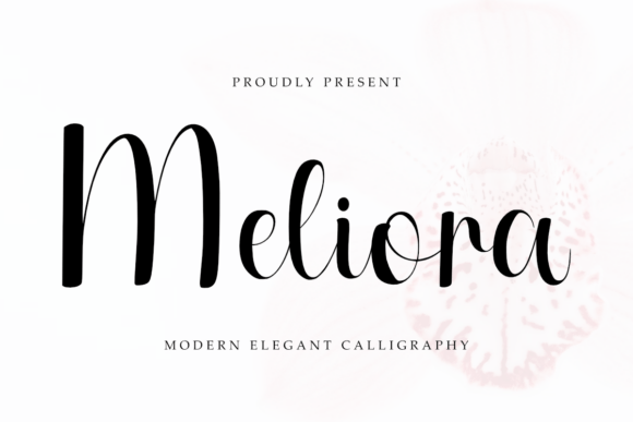 Script Amp Font Meliora: Elevating Brand Visuals with Elegance